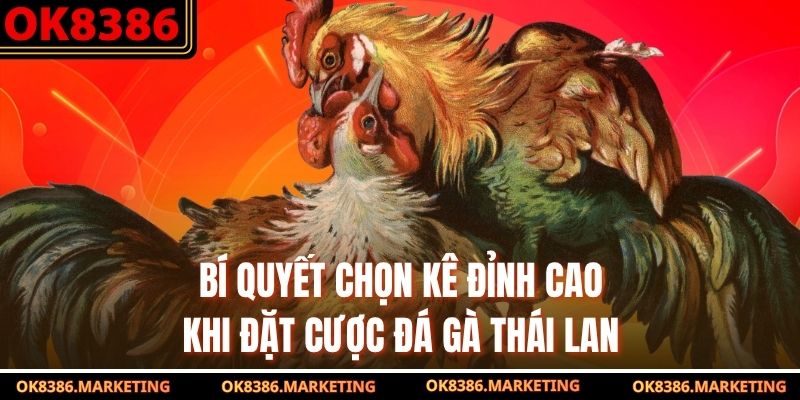 Bí quyết chọn kê đỉnh cao khi đặt cược đá gà Thái Lan