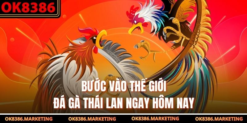 Bước vào thế giới đá gà Thái Lan ngay hôm nay