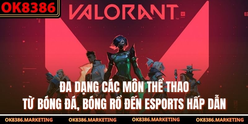 Đa dạng các môn thể thao từ bóng đá, bóng rổ đến eSports hấp dẫn