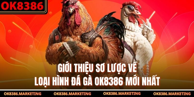 Giới thiệu sơ lược về loại hình đá gà ok8386 mới nhất